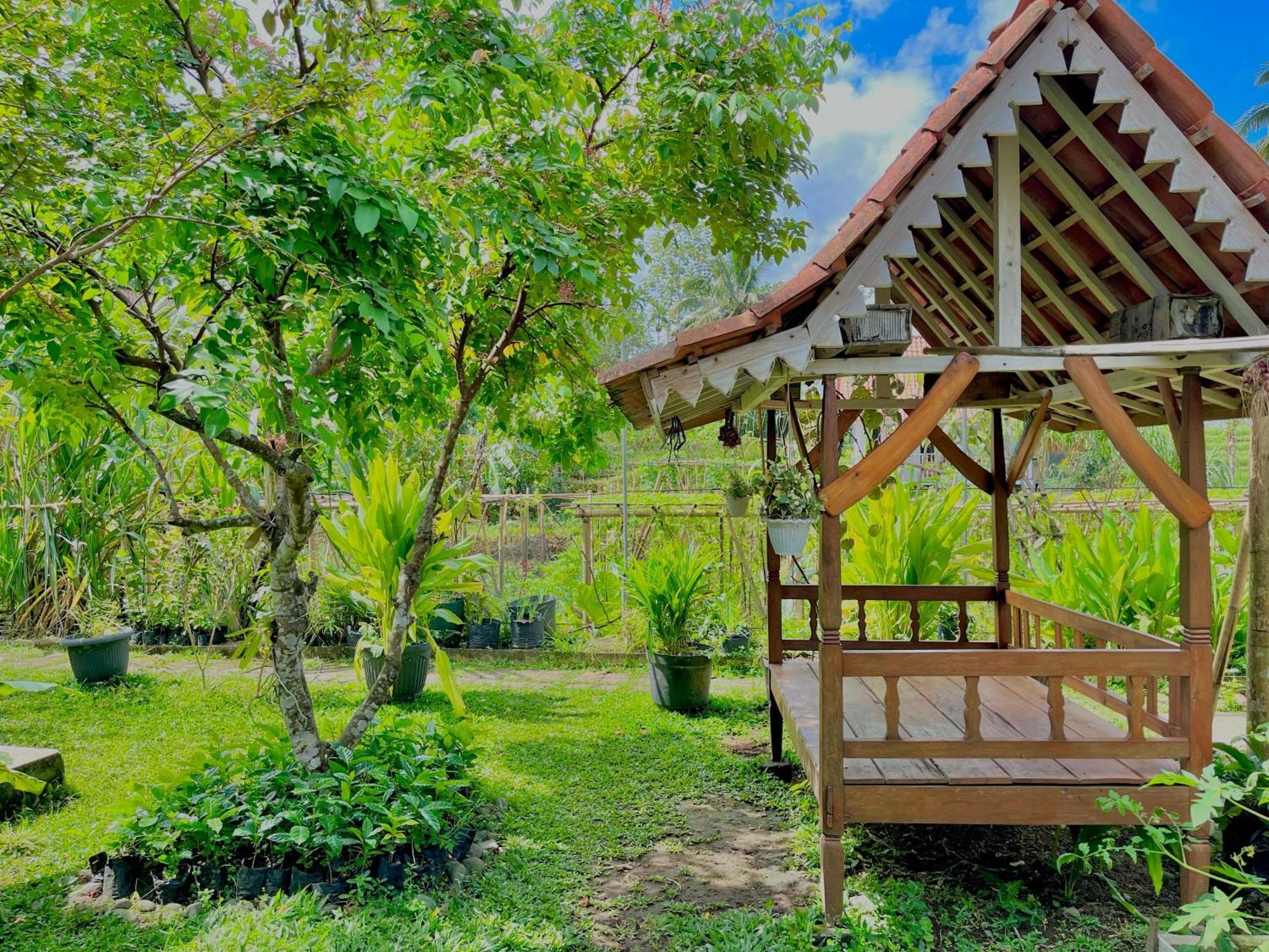 Pondok Isoke Bunggalow Banyuwangi  Exterior foto